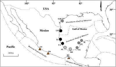 Do the Fish Scales Shape of Mugil curema Reflect the Genetic Structure Using Microsatellites Markers and the Mexican Marine Ecoregions Classification?